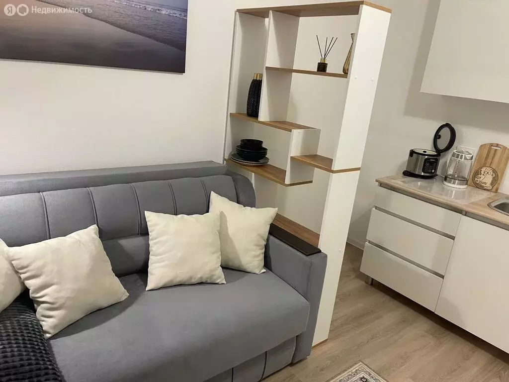 Квартира-студия: Санкт-Петербург, Пахомовская улица, 21 (18 м) - Фото 2