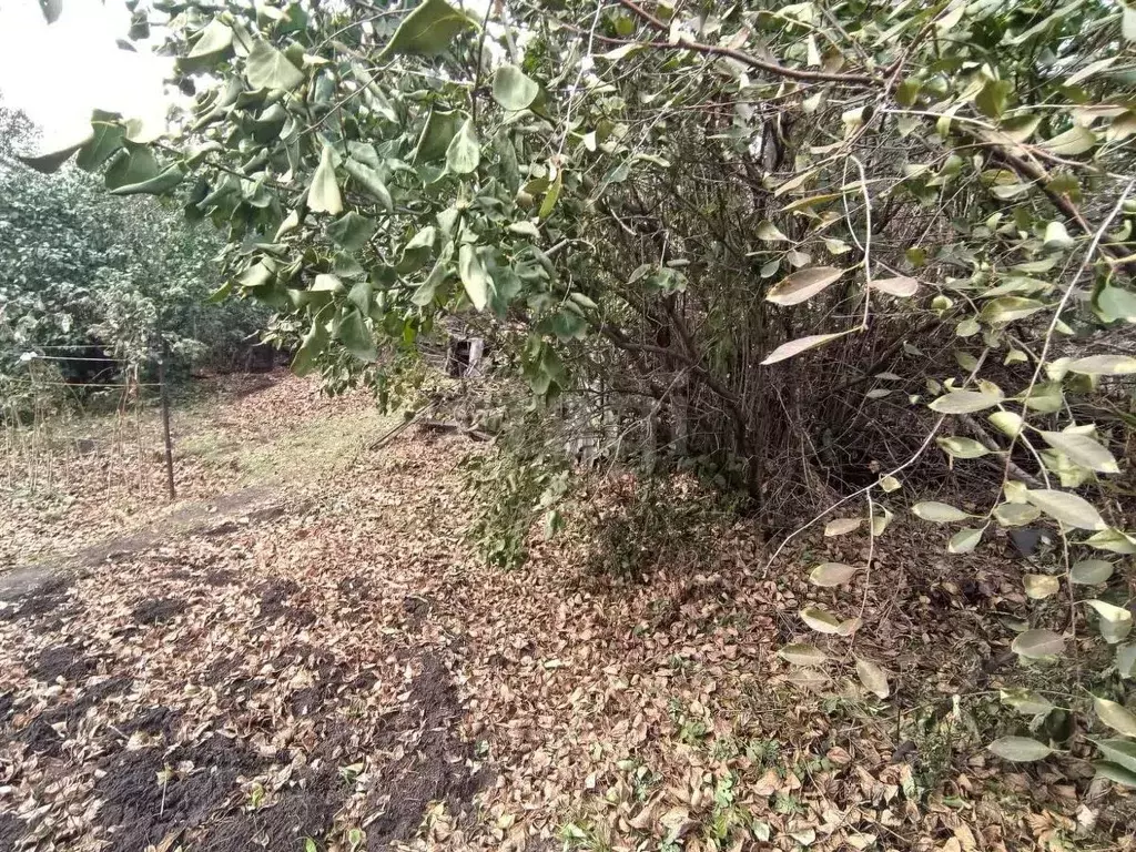 Участок в Кемеровская область, Новокузнецк Строитель-1КПС СТСН, 90 ... - Фото 1