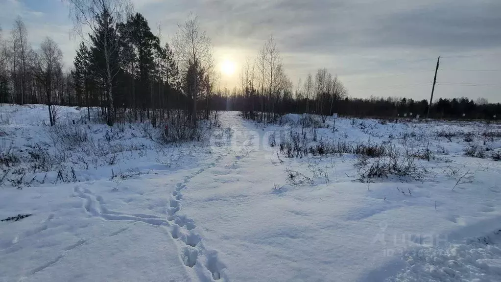 Участок в Пермский край, Пермский муниципальный округ, д. Ермозы  (7.1 ... - Фото 1