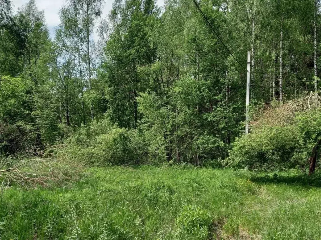 Участок в Московская область, Дмитровский муниципальный округ, пос. ... - Фото 0