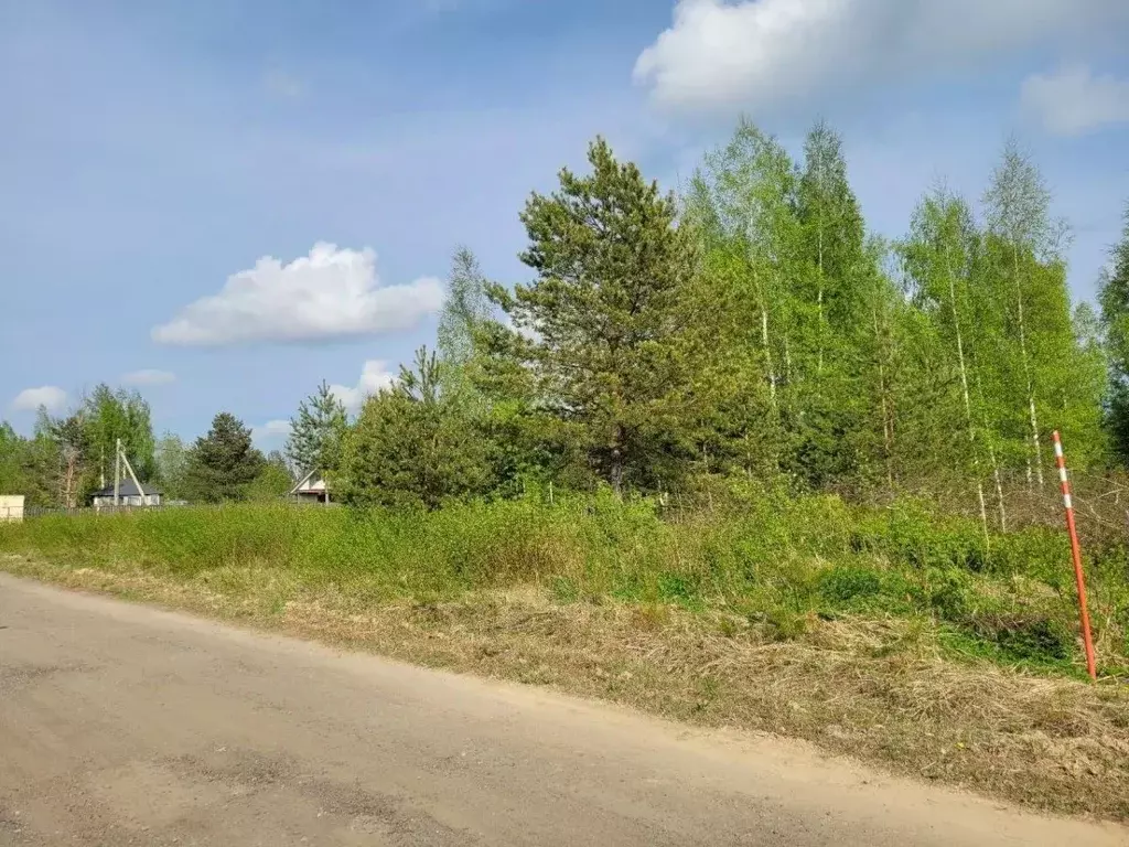 Участок в Ленинградская область, Всеволожский район, Токсовское ... - Фото 1