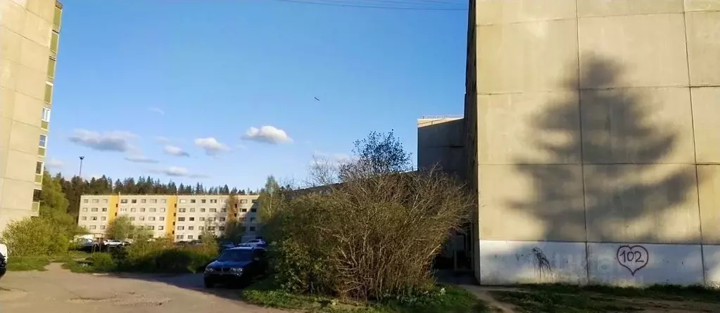 1-к кв. Ленинградская область, Светогорск Выборгский район, ... - Фото 2