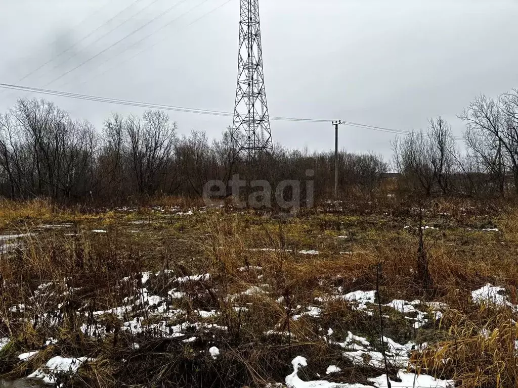 Участок в Архангельская область, Архангельск Малое Никольское ТСН,  ... - Фото 1