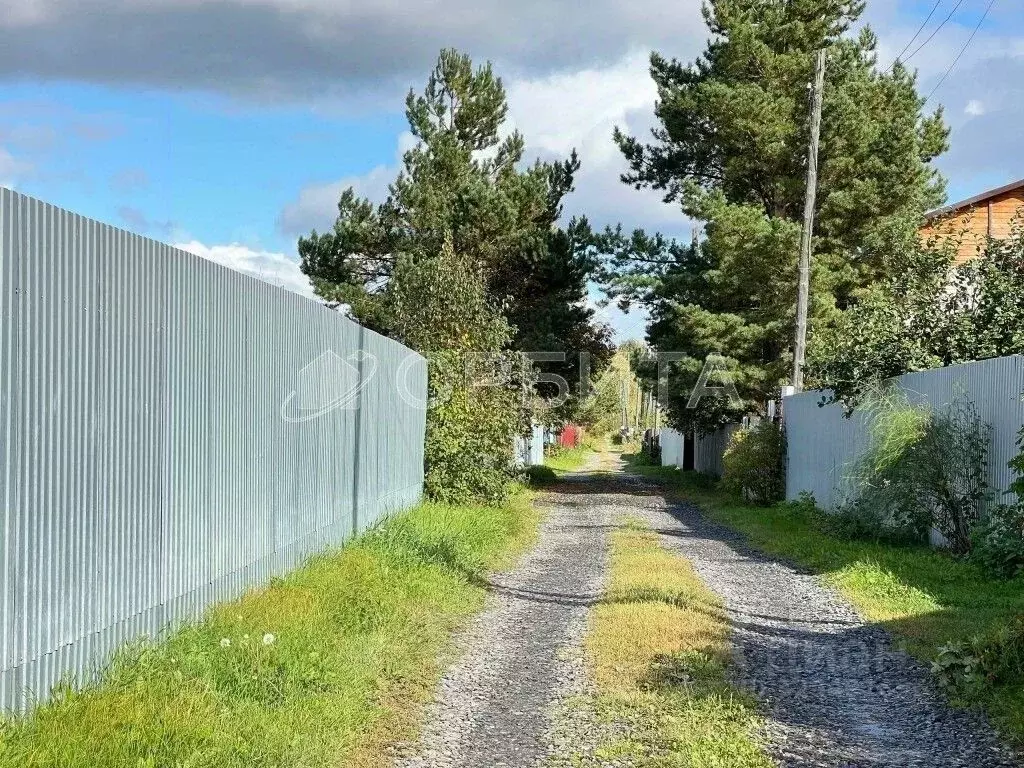 Участок в Тюменская область, Тюменский муниципальный округ, Нива СНТ ... - Фото 2