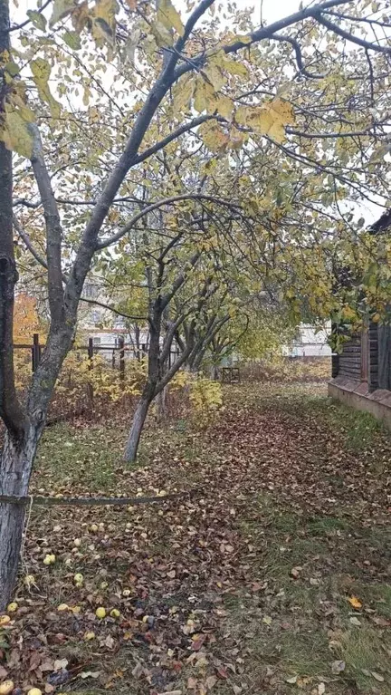 Участок в Тамбовская область, Тамбов Веселая ул. (10.0 сот.) - Фото 2