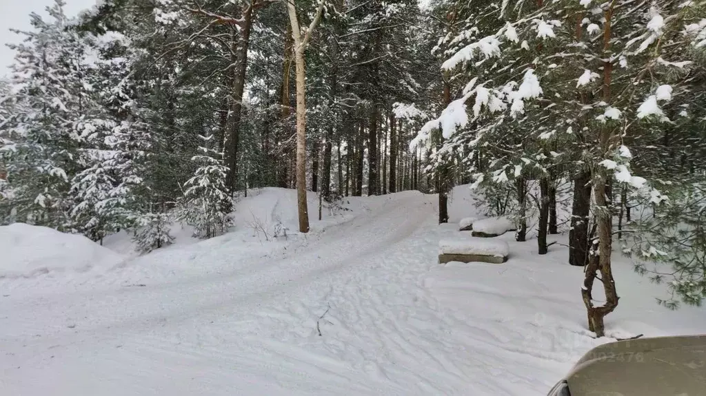 Гараж в Алтайский край, Бийск Дачная ул., 52с2 (100 м) - Фото 1