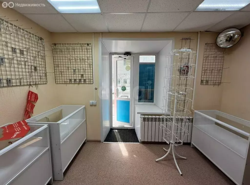 Офис (33.4 м) - Фото 2