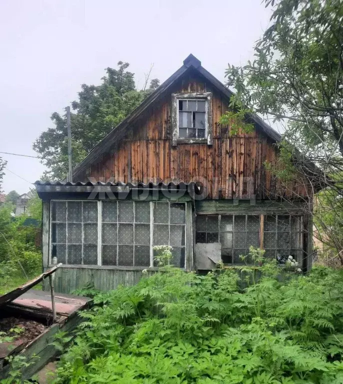 Участок в Новосибирская область, Новосибирск Золотая Горка СНТ, аллея ... - Фото 1