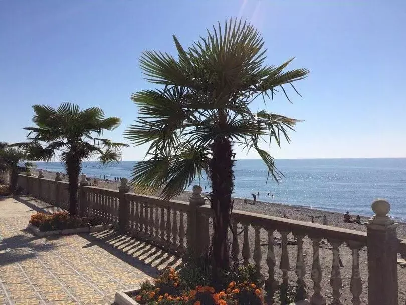 Участок в Краснодарский край, Сочи пос. Лоо, ул. Жигулевская (7.5 ... - Фото 1