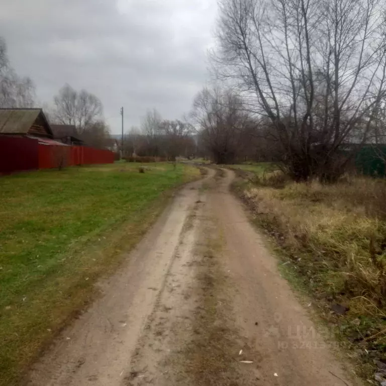 Участок в Пензенская область, Лунинский район, с. Большой Вьяс ... - Фото 1
