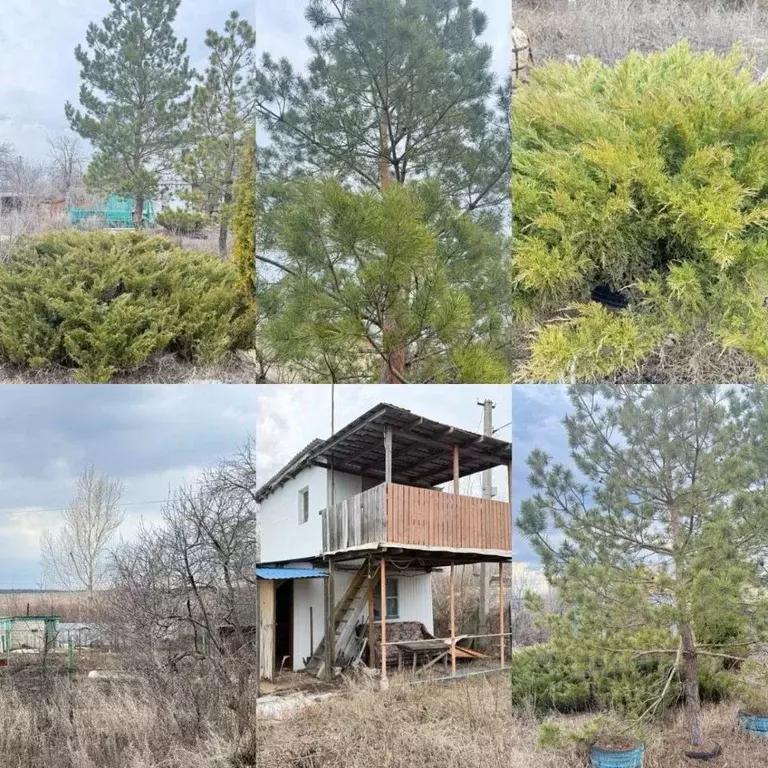 Дом в Саратовская область, Саратов Южный-1 СНТ, проезд 7-й Латрыковый ... - Фото 0