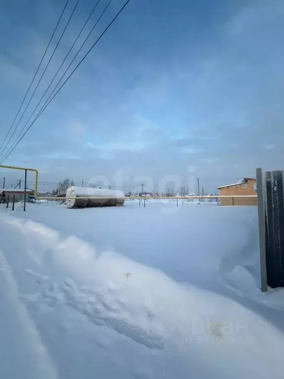 Участок в Ямало-Ненецкий АО, Новый Уренгой Северный Берег ДНТ, 31 ... - Фото 1