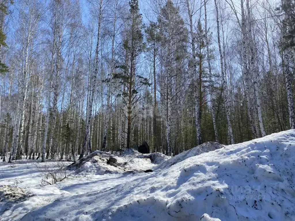 Участок в Свердловская область, Екатеринбург пос. Рудный,  (7.1 сот.) - Фото 0