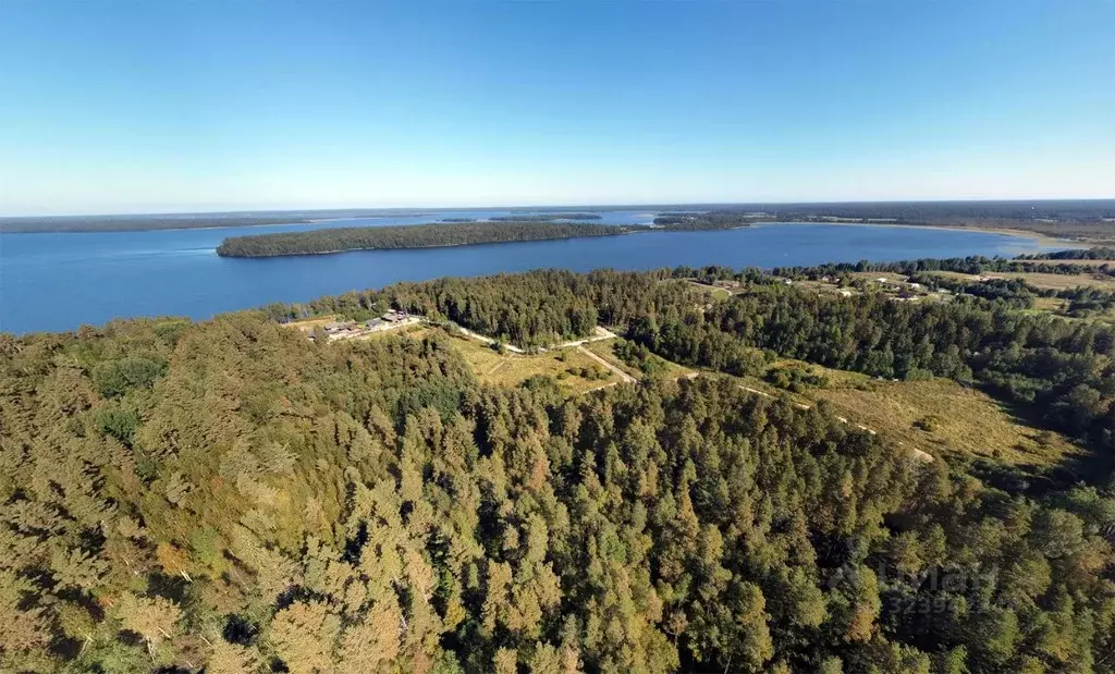 Участок в Ленинградская область, Приозерский район, Громовское с/пос, ... - Фото 2