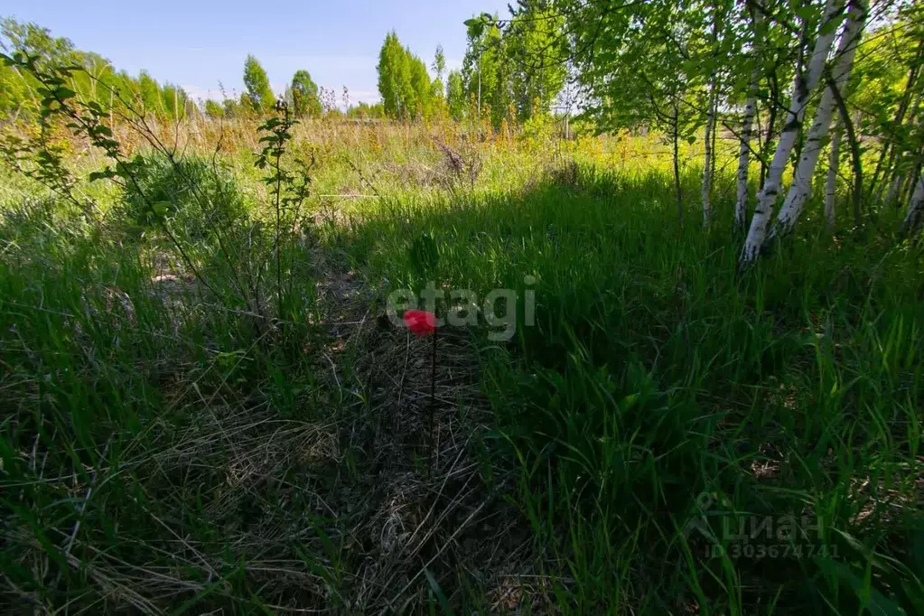 Участок в Томская область, Томск Теплотехник садовое товарищество,  ... - Фото 1