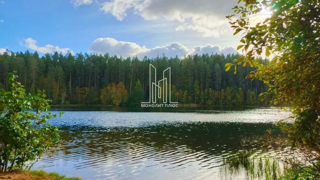 Участок в Ленинградская область, Приозерский район, Петровское с/пос, ... - Фото 1