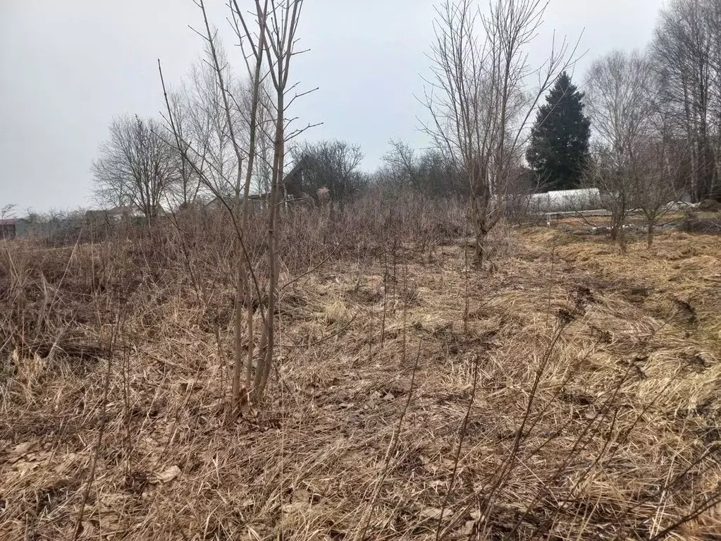 Участок в Московская область, Сергиево-Посадский городской округ, д. ... - Фото 1