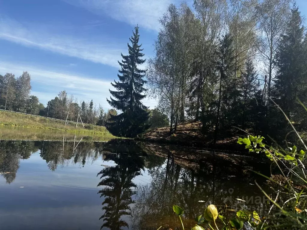 Участок в Московская область, Ногинск Богородский городской округ, ул. ... - Фото 1