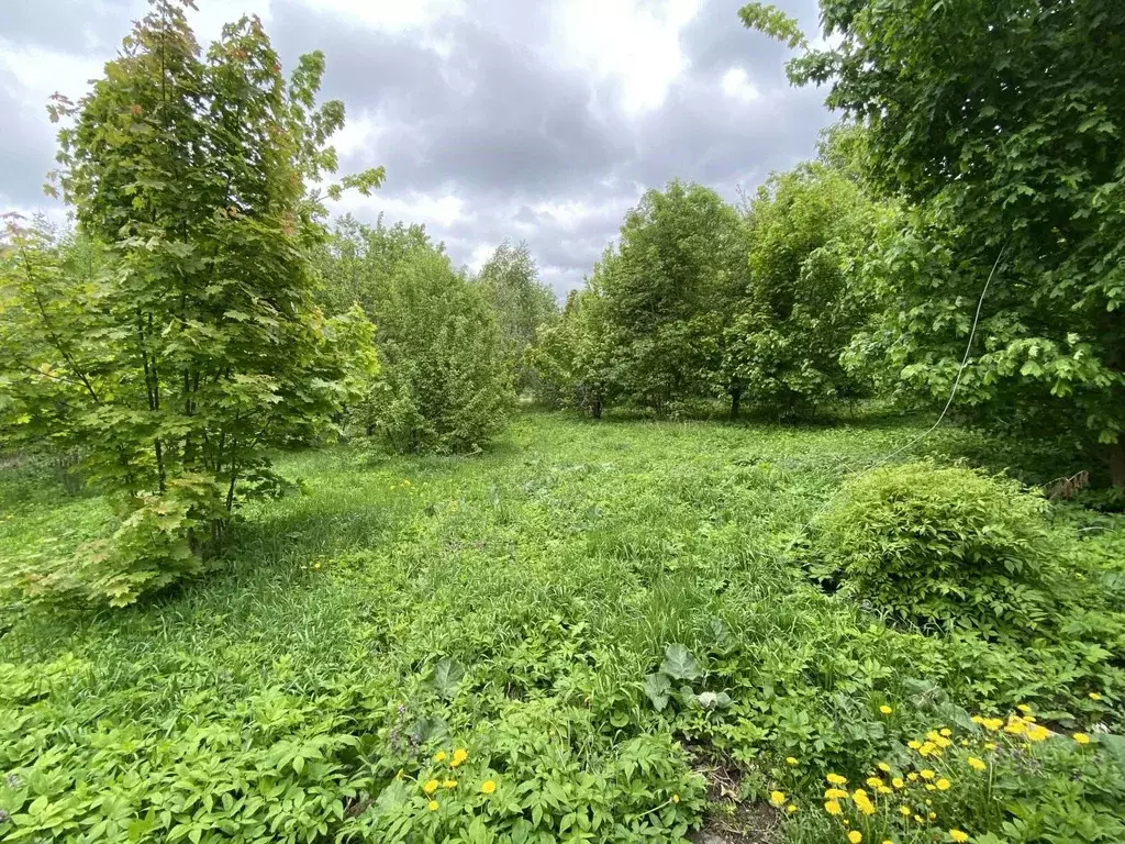 Участок в Тульская область, Тула пос. Скуратовский, пос. ... - Фото 2
