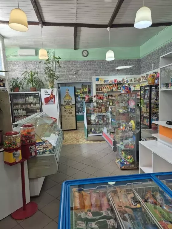 Торговая площадь в Москва пос. Минвнешторга, ул. Ленина, 2 (90 м) - Фото 1