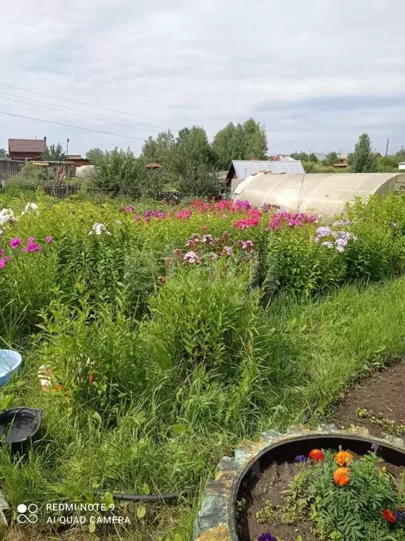 Дом в Томская область, Томск с. Дзержинское, Логовая ул. (34 м) - Фото 2