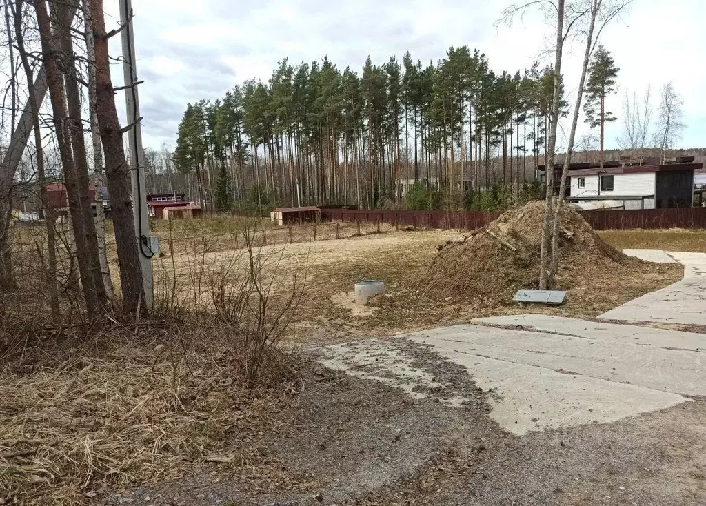 Участок в Ленинградская область, Всеволожский район, Куйвозовское ... - Фото 1