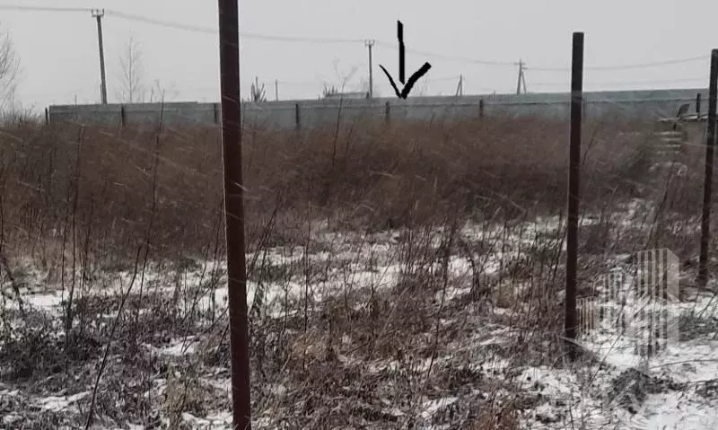 Участок в Пермский край, Пермский муниципальный округ, д. Шумки ул. ... - Фото 2