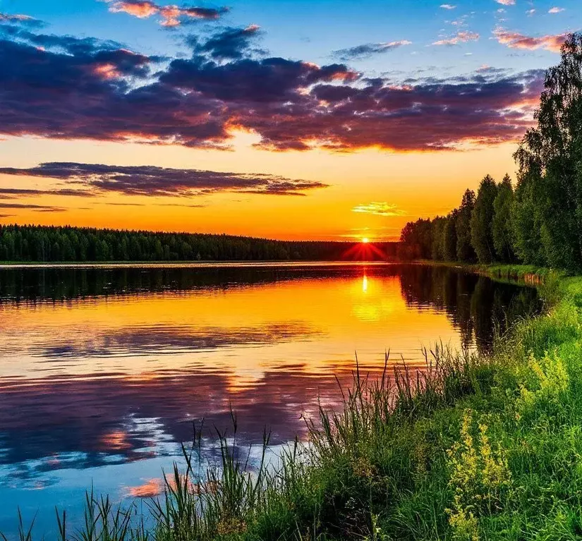 Участок, 5 сот., сельхоз (снт или днп) - Фото 0