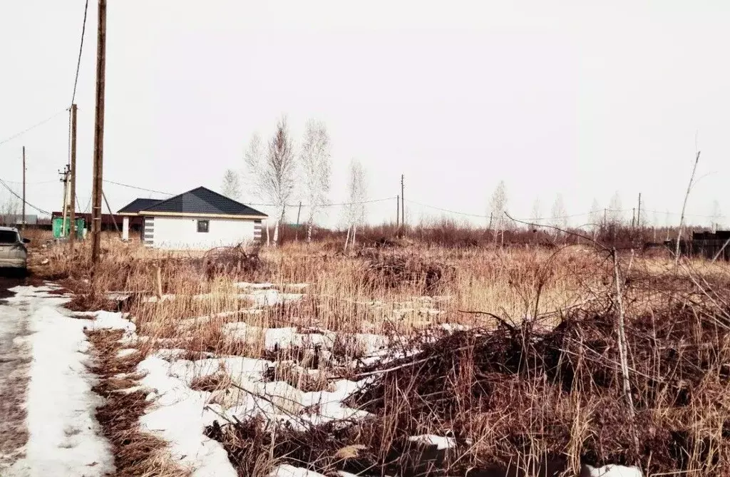 Участок в Тюменская область, Тюмень Садовое товарищество Липовый ... - Фото 0