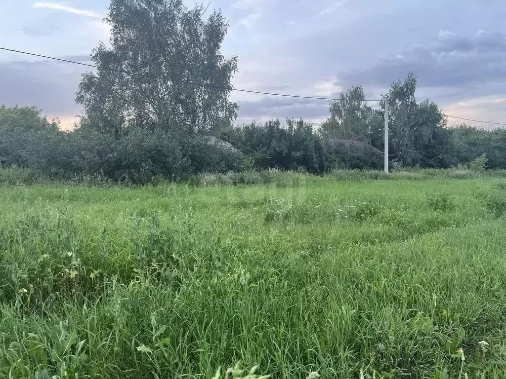 Участок в Воронежская область, Рамонский район, Русскогвоздевское ... - Фото 1