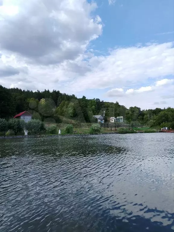 Участок 10 сот. (ИЖС) - Фото 1