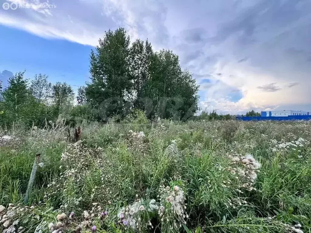 Участок в Тюменский район, деревня Ушакова, микрорайон Молодёжный ... - Фото 0