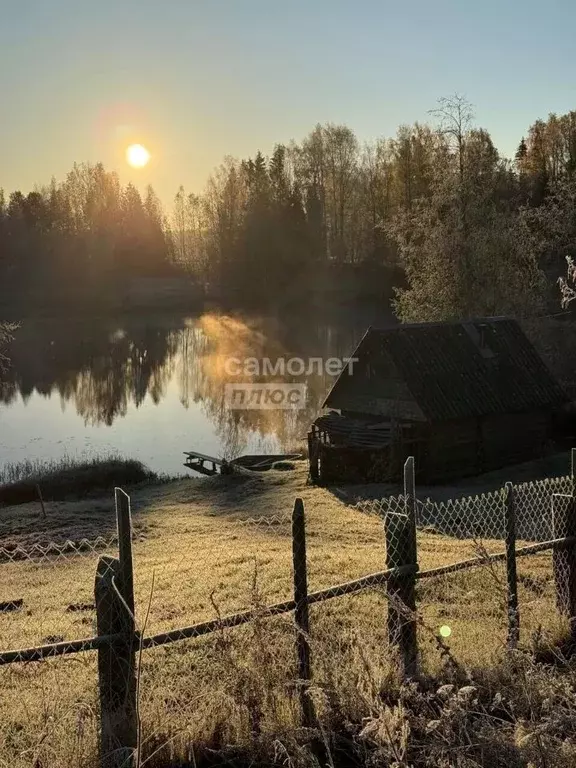 Участок в Новгородская область, Окуловский муниципальный округ, ... - Фото 1