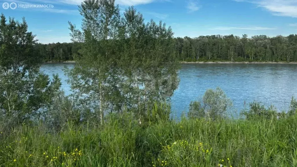 Участок в Майминский район, село Подгорное (11.2 м) - Фото 1