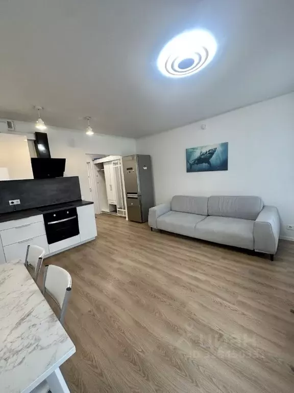 Студия Московская область, Красногорск городской округ, пос. ... - Фото 1