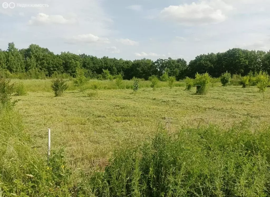 Участок в Амурская область, Благовещенский муниципальный округ, село ... - Фото 2