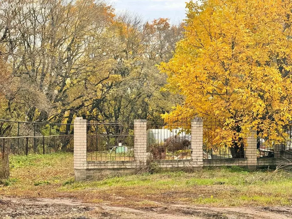 Участок в Ставрополь, садовое товарищество Маяк-2, 2 (9 м) - Фото 0