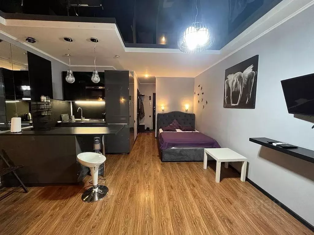 Студия Ростовская область, Ростов-на-Дону ул. Рыльского, 1 (30.0 м) - Фото 1