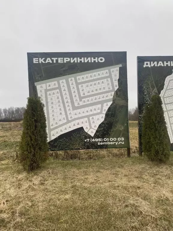 Участок в Московская область, Ступино городской округ, Екатеринино кп ... - Фото 1