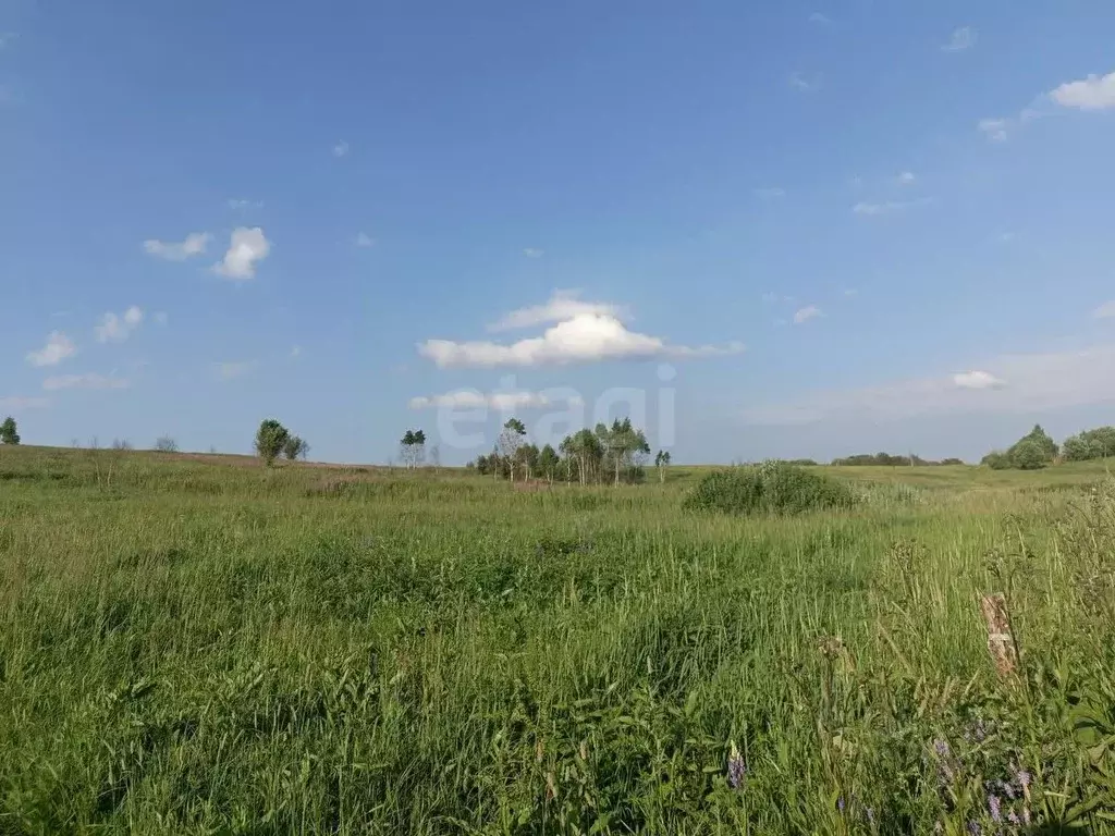 Участок в Смоленская область, Смоленский муниципальный округ, д. ... - Фото 1