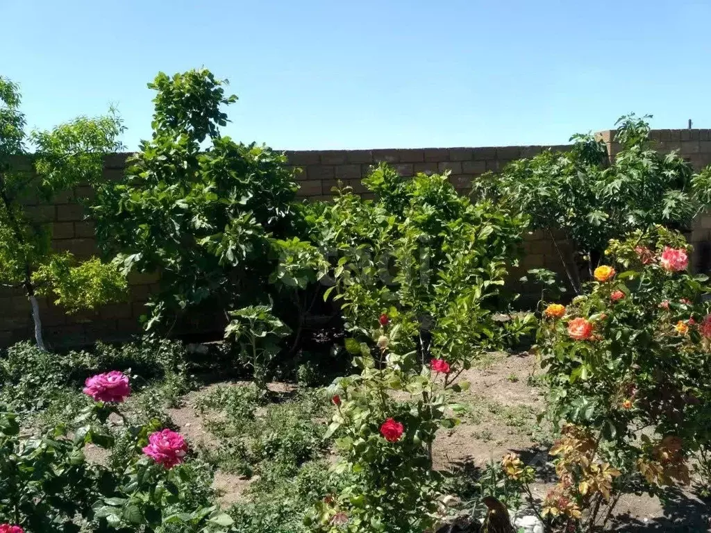 Дом в Крым, Ленинский район, Семисотское с/пос, с. Каменское пер. ... - Фото 1