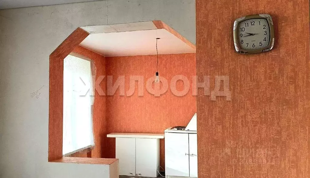 1-к кв. Новосибирская область, Колыванский район, с. Скала Молодежная ... - Фото 1