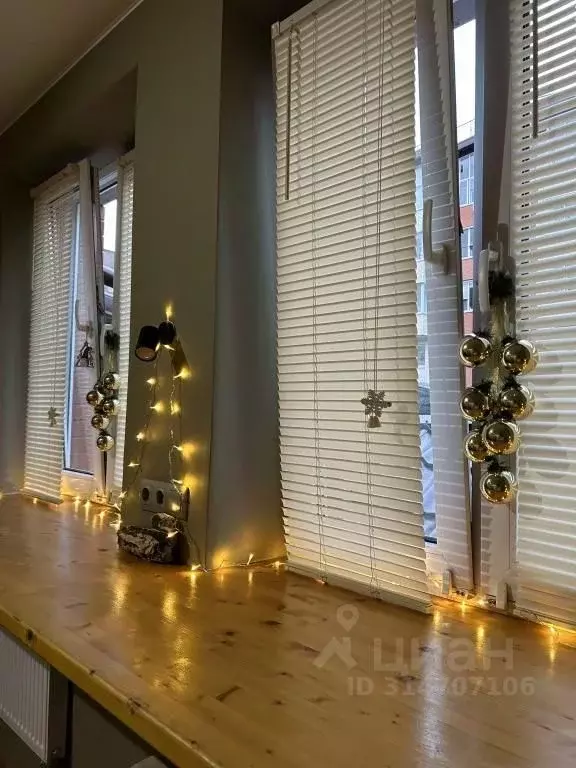 1-к кв. Московская область, Сергиев Посад Сергиевская ул., 13к2 (32.0 ... - Фото 1