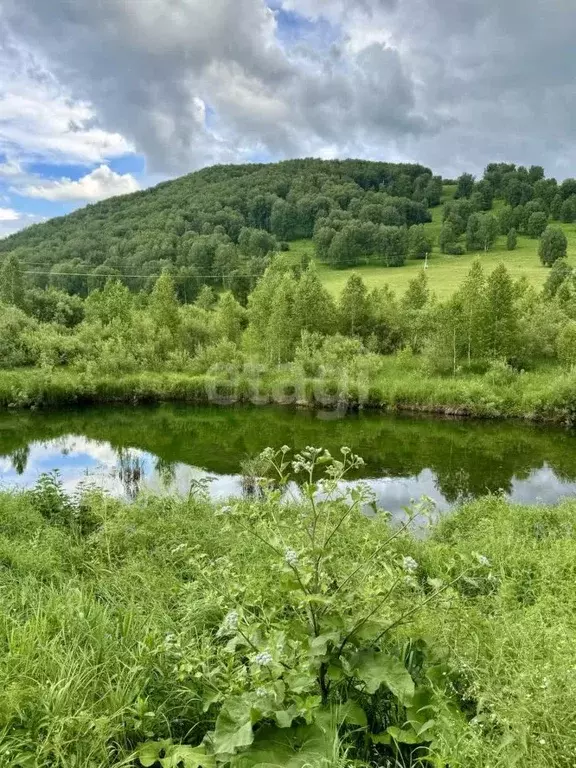 Участок в Алтайский край, Солонешенский район, с. Солонешное  (530.0 ... - Фото 0