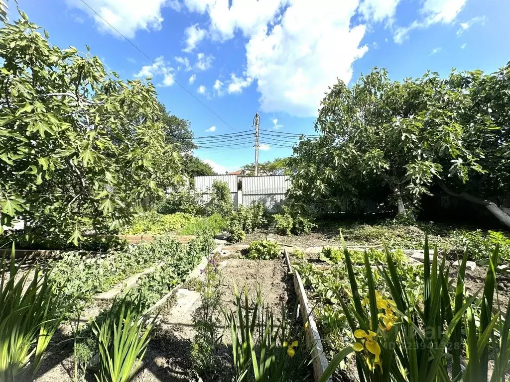 Участок в Краснодарский край, Геленджик Средняя ул., 8 (4.6 сот.) - Фото 1