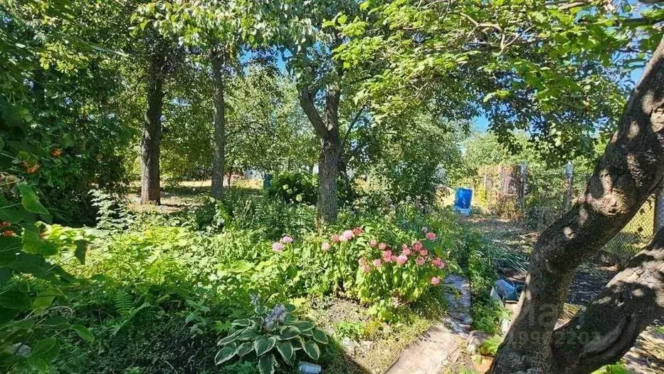 Участок в Самарская область, Самара Дачница СНТ, ул. 13-я, 12 (6.0 ... - Фото 1