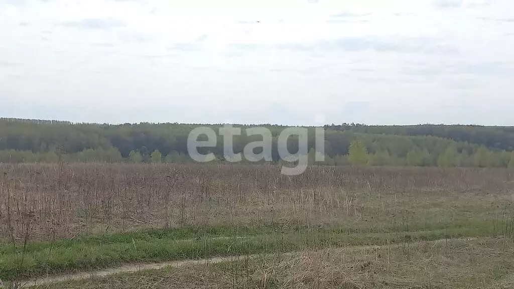 Участок в сельское поселение Воскресенское, деревня Лошачье (112.1 м) - Фото 1