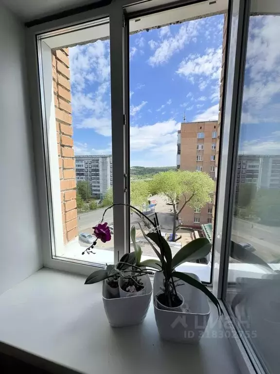 Комната Томская область, Томск Алтайская ул., 163б (11.5 м) - Фото 0