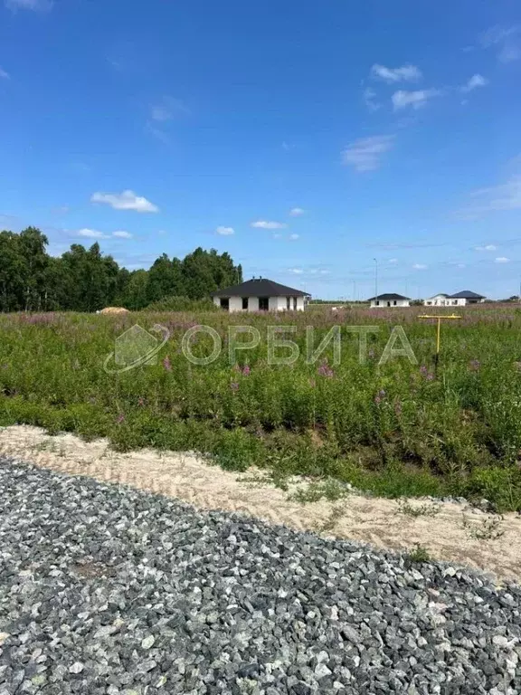 Участок в Тюменская область, Тюменский район, Онегин кп  (6.52 сот.) - Фото 1