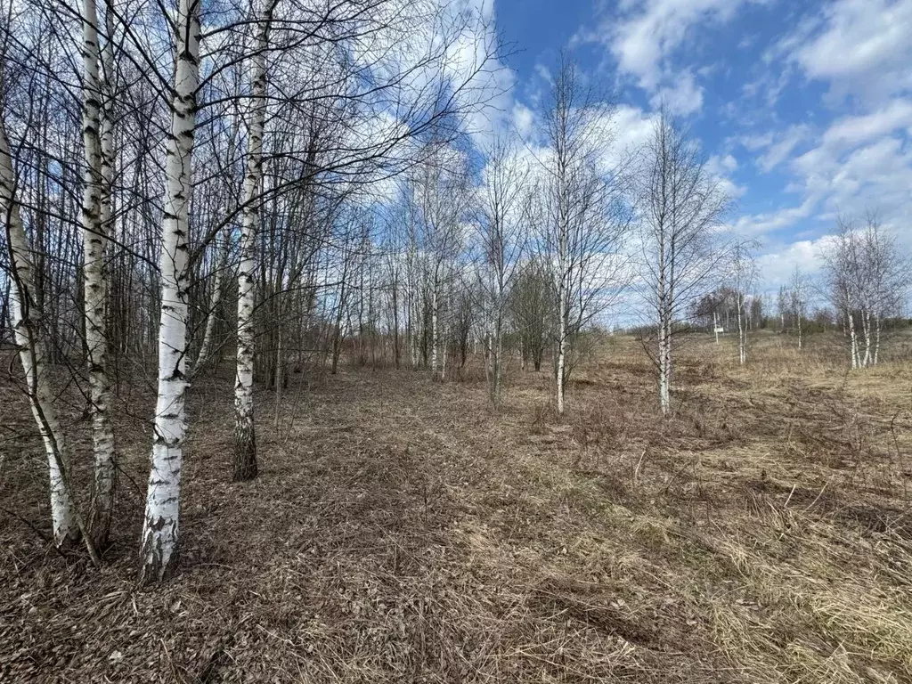 Участок в Ленинградская область, Всеволожский район, Колтушское ... - Фото 0